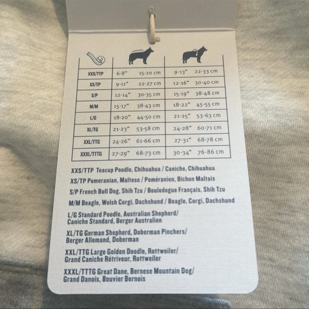 Tommy Bahama stylish dog